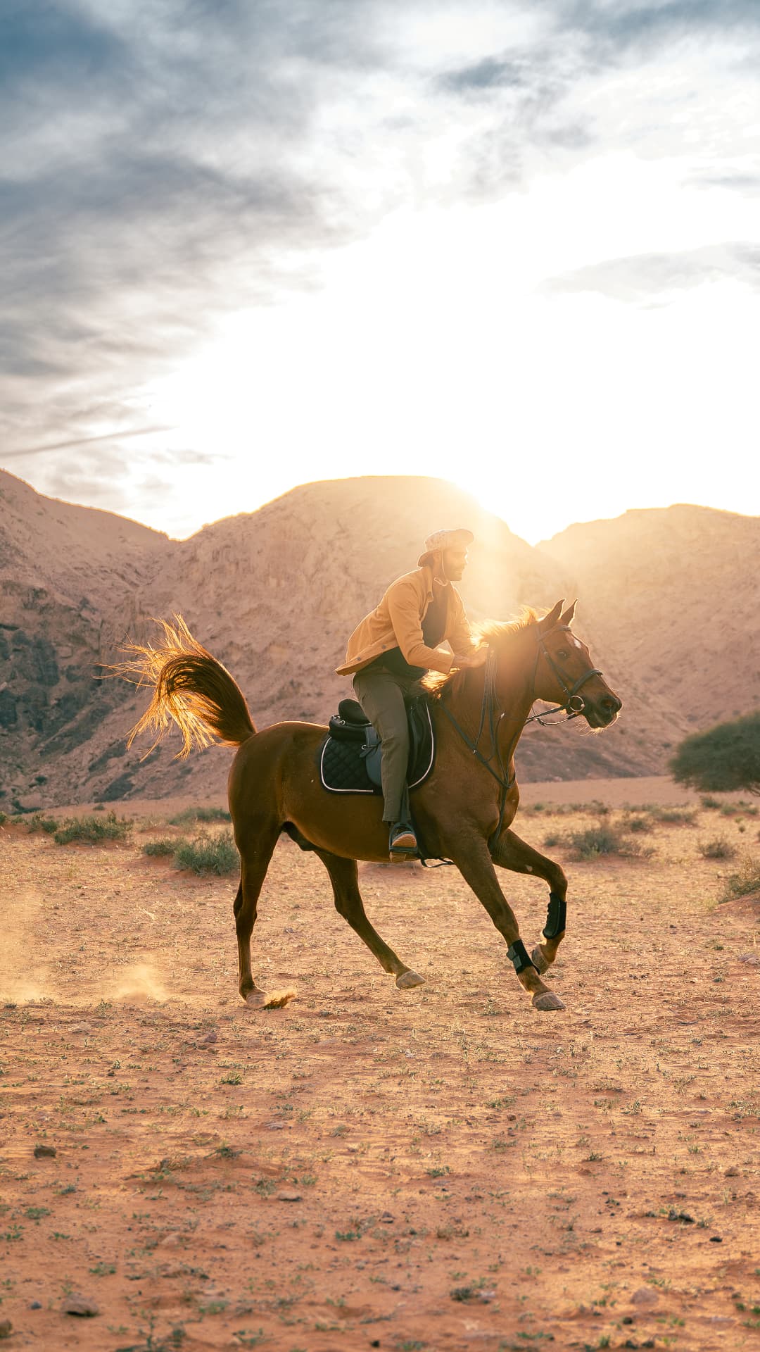 Rider galloping a horse across the desert at sunset
