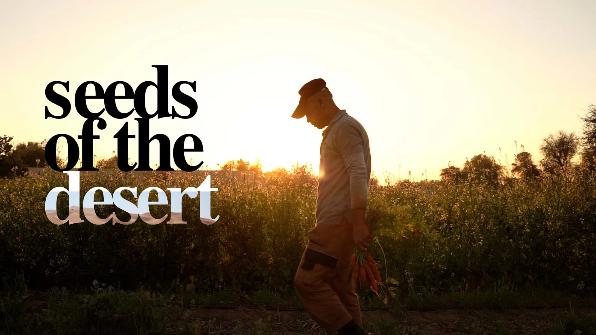 Still from the documentary Seeds of the Desert
